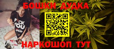 гидра Заводоуковск