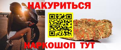 гидра Заводоуковск