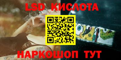 гидра Заводоуковск