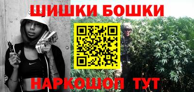 гидра Заводоуковск