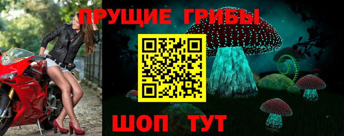 Лосино-Петровский  Галлюциногенные грибы Cubensis  Вход с VPN 