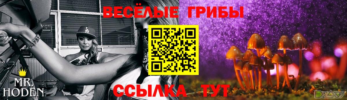 Галлюциногенные грибы мухоморы Лосино-Петровский